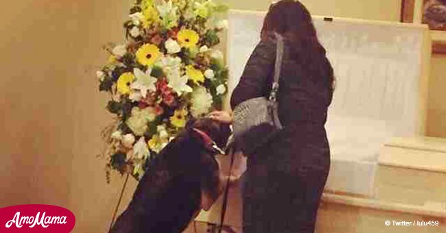 Grieving dog attends funeral of owner who died suddenly