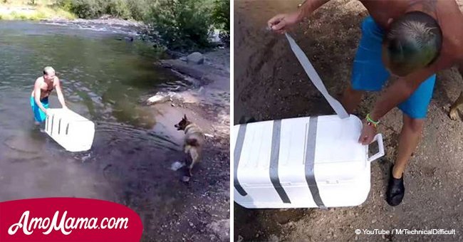 Friends saw a strange box floating on the river. They got it out and opened it