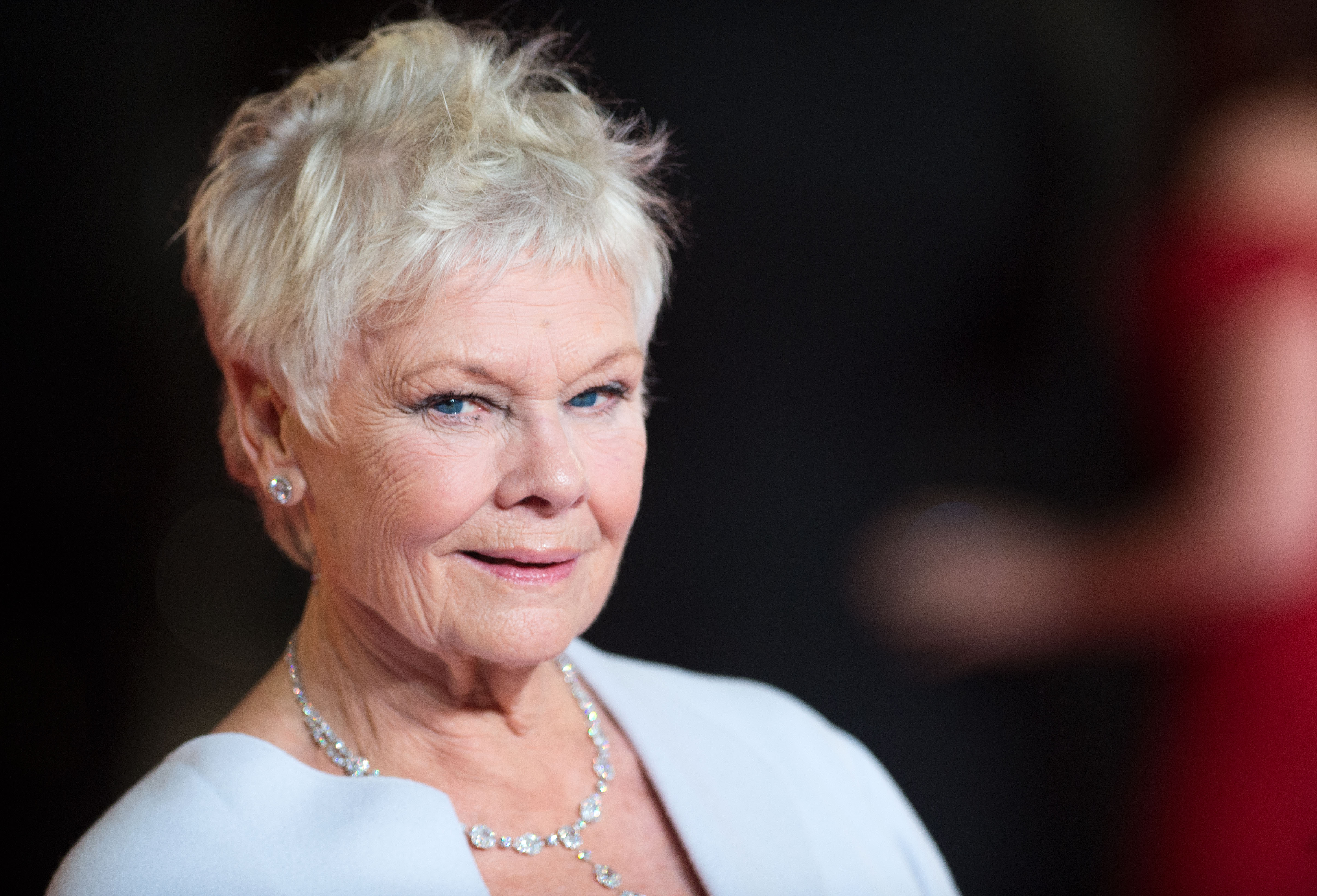 Dame Judi Dench on October 23, 2012, in London, England | Source: Getty Images