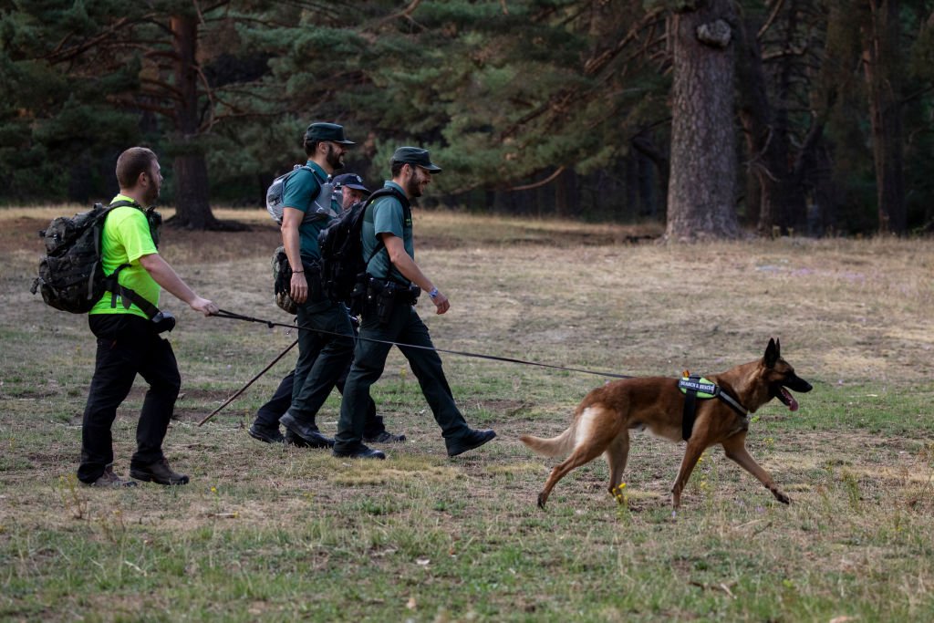 Las fuerzas de seguridad con un perro de búsqueda tratando de encontrar a Blanca Fernández Ochoa en Las Dehesas el 2 de septiembre de 2019, España. | Imagen: Getty Images