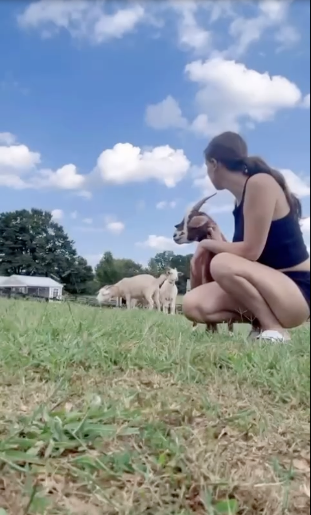 Millie Bobby Brown Bongiovi with her farm animals from a post dated August 16, 2024. | Source: Instagram/milliebobbybrown