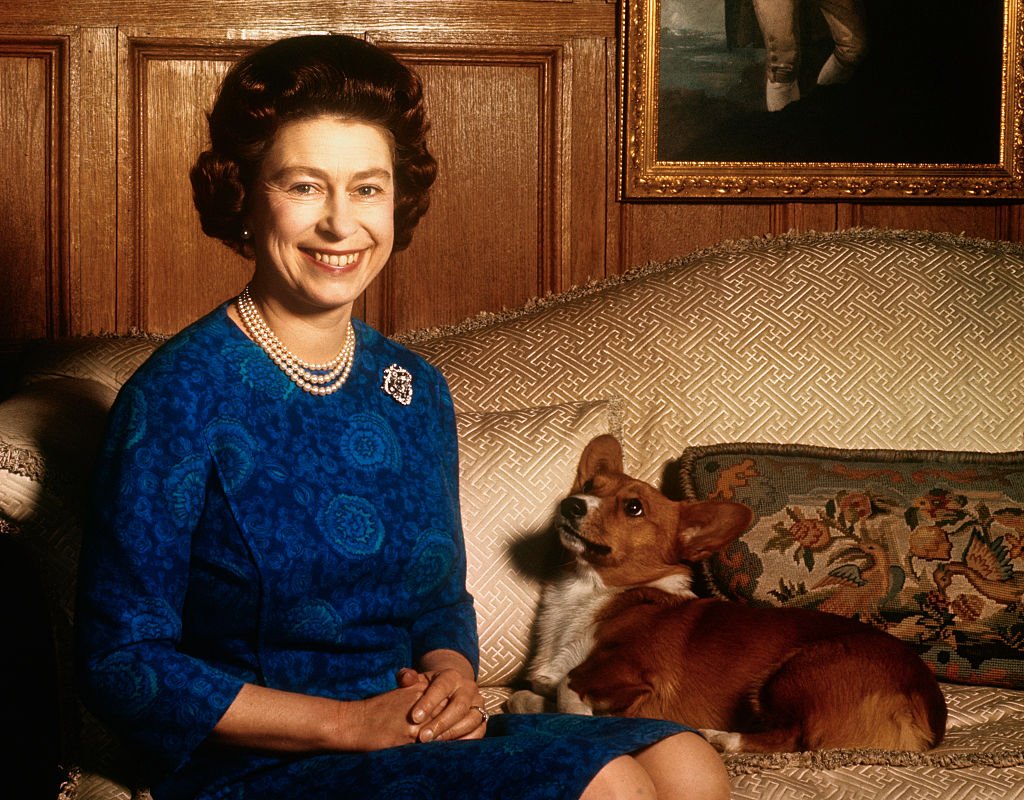 La reine Elizabeth II de Grande-Bretagne affiche un sourire radieux lors d'une séance de photos dans le salon de Sandringham House. Son chien de compagnie la regarde. Ces photos ont été prises dans le cadre de la tournée de la famille royale en Australie et en Nouvelle-Zélande. | Photo : Getty Images
