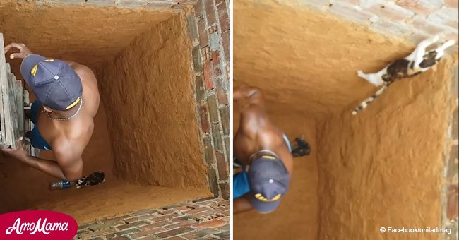 Cat outsmarts man who climbed into hole to rescue it