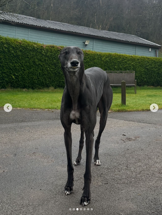 A photo from Rusell Watson's carousel, dated 20 January 2026. | Source: Instagram/officialrussellwatson