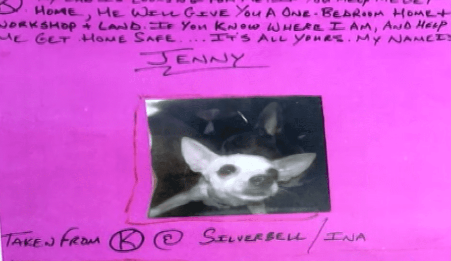Affiche avec une description de ce qu'Eddie Collins de Tucson a à offrir, avec une photo de son chien Jenny. Source : YouTube | News 4 Tucson KVOA-TV