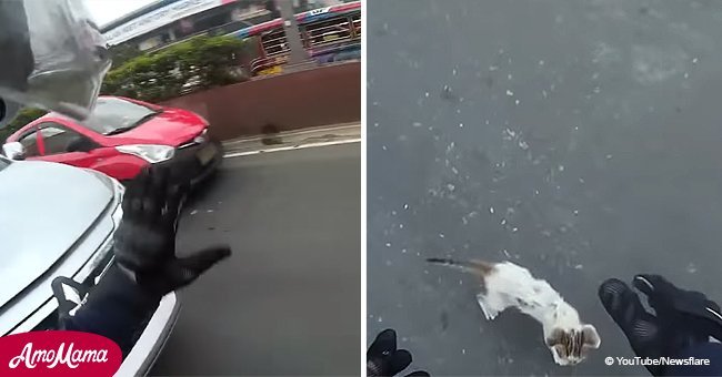 Biker stops traffic to rescue helpless kitten