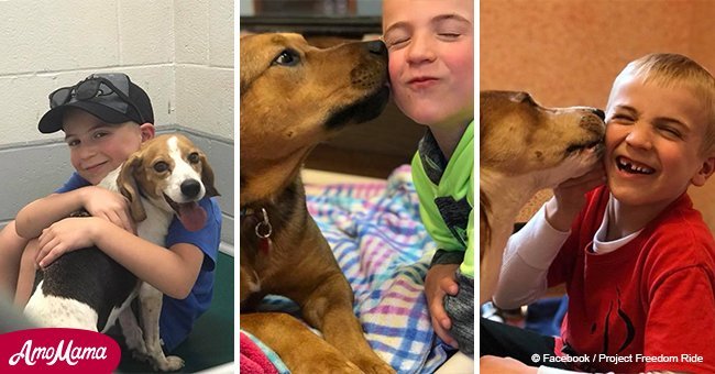 7-year-old establishes an 'Underground Railroad' that saves 1000s of dogs from a harrowing fate