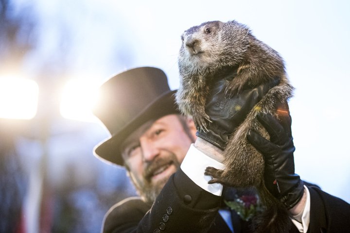 Groundhog Phil being shown to the crowd | Photo: Getty Images