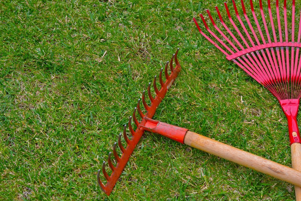 Red garden rakes on the grass in the summer garden | Photo: Shuterstock
