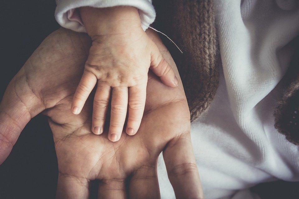 The protective hand of a father. | Image: Pixabay