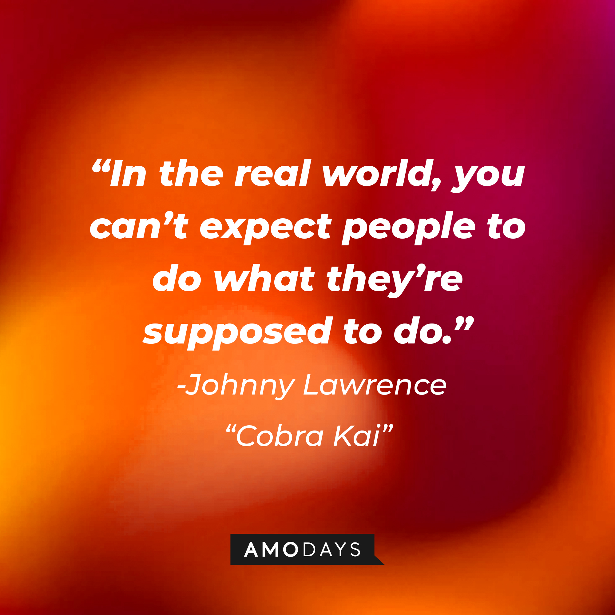 Johnny Lawrence's quote from "Cobra Kai:" “In the real world, you can’t expect people to do what they’re supposed to do.” | Source: AmoDays