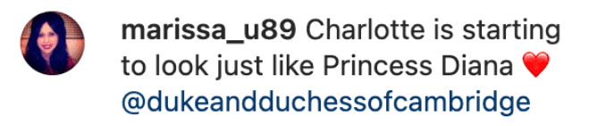 A fan's comment on Prince William and Princess Charlotte's post wishing England's women's team luck for the Euros final on July 31, 2022. | Source: Instagram/The Duke and Duchess of Cambridge