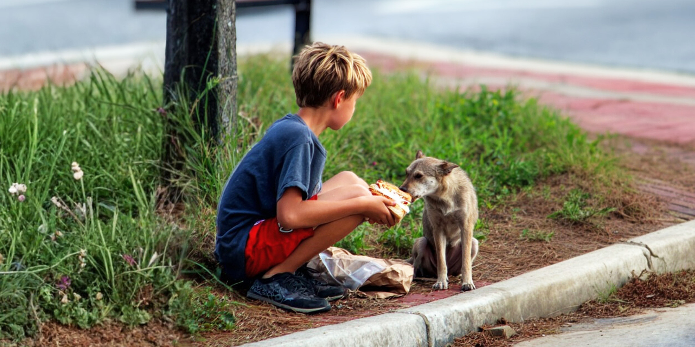 A boy feeding a dog | Source: Midjourney