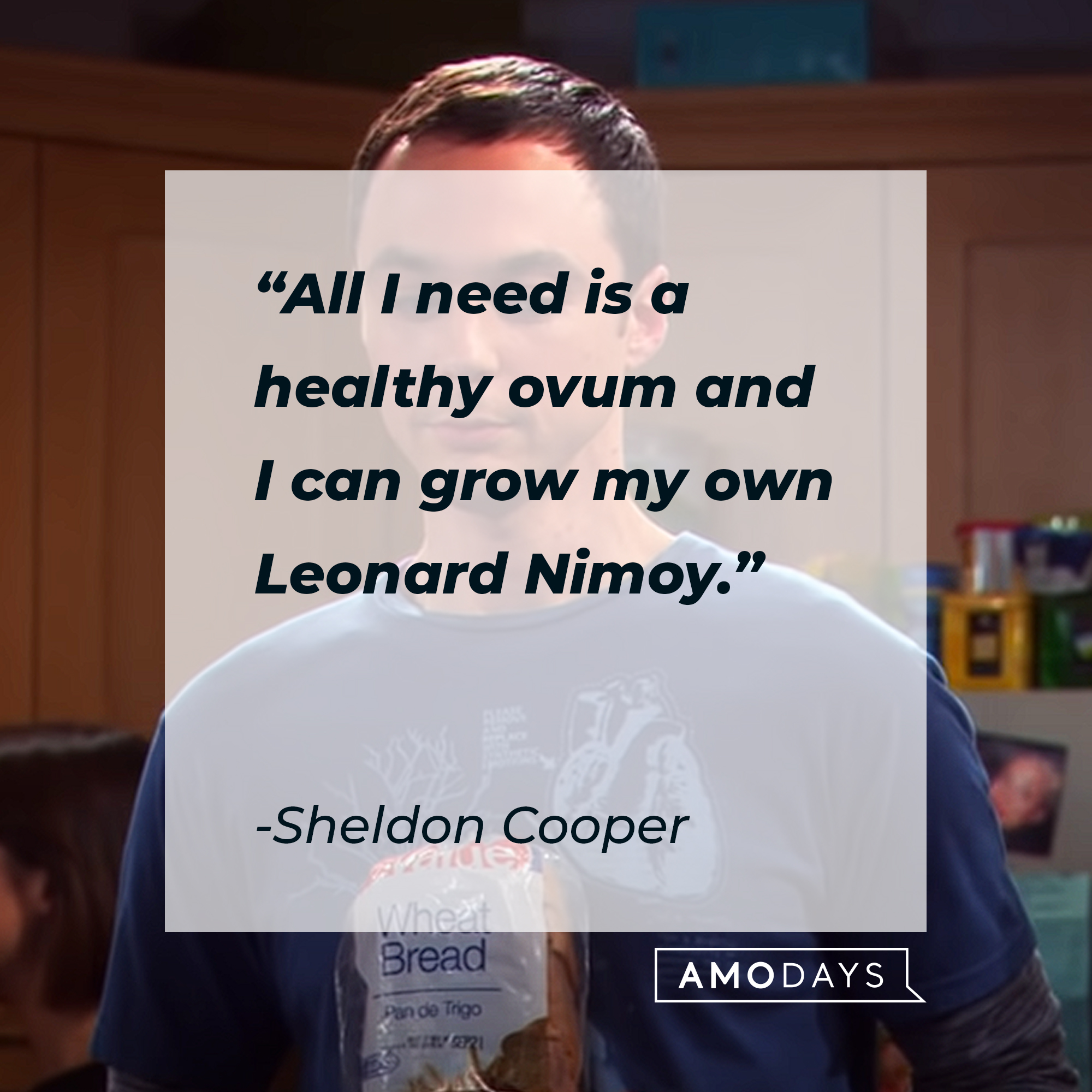 Sheldon Cooper's quote: "All I need is a healthy ovum and I can grow my own Leonard Nimoy." | Source: youtube.com/warnerbrostv