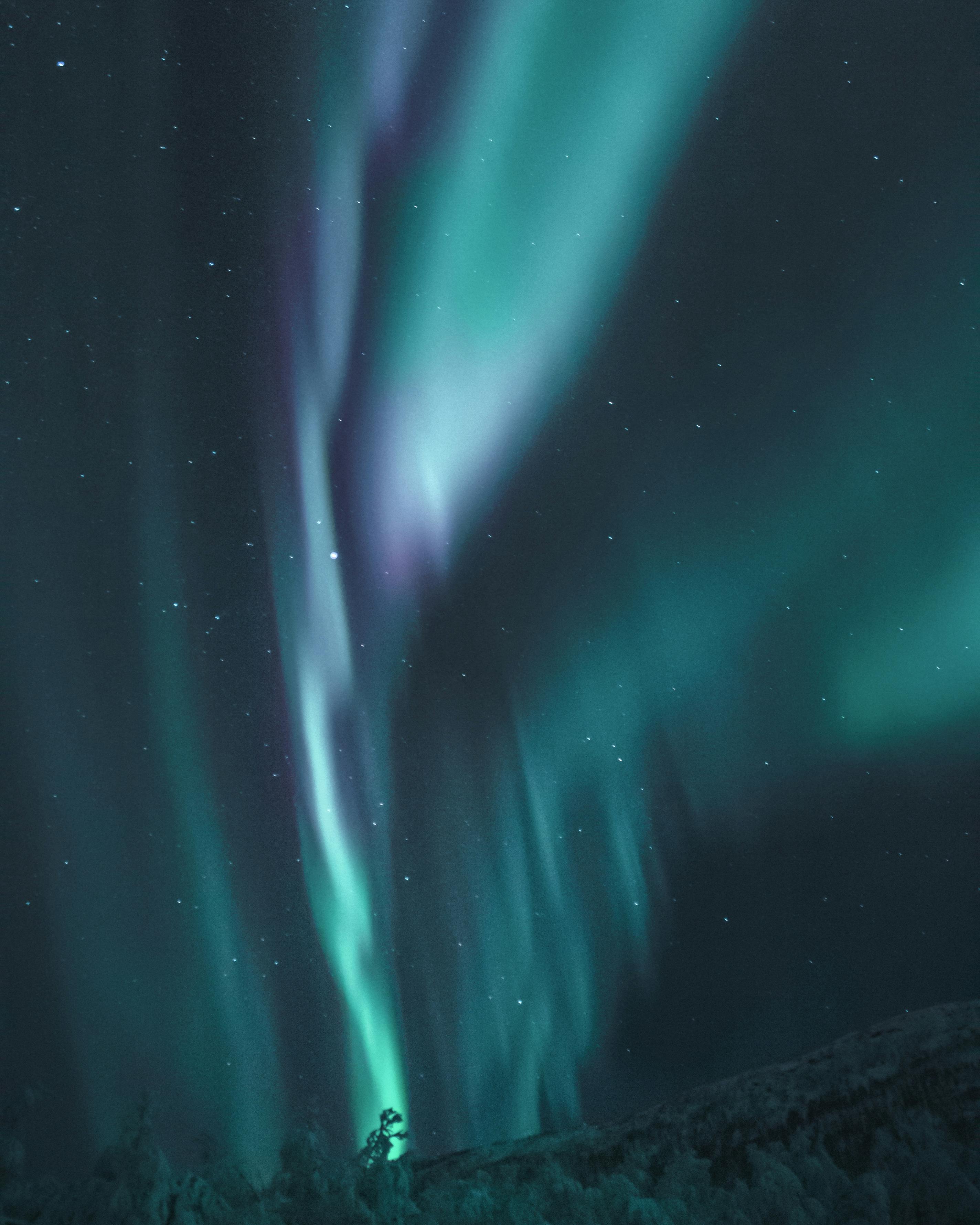 The northern lights | Source: Pexels