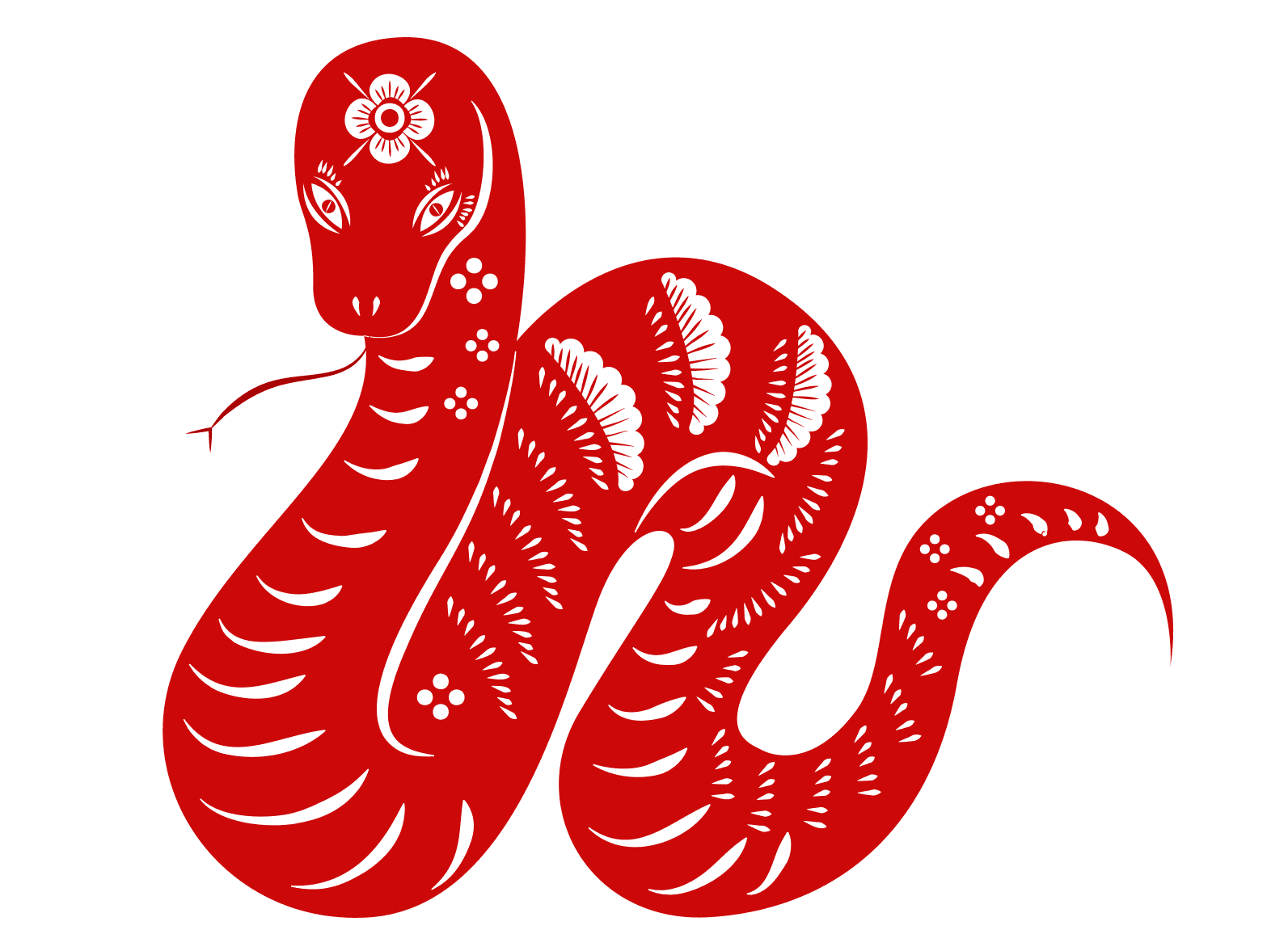 Signo del Año de la Serpiente || Fuente: Shutterstock