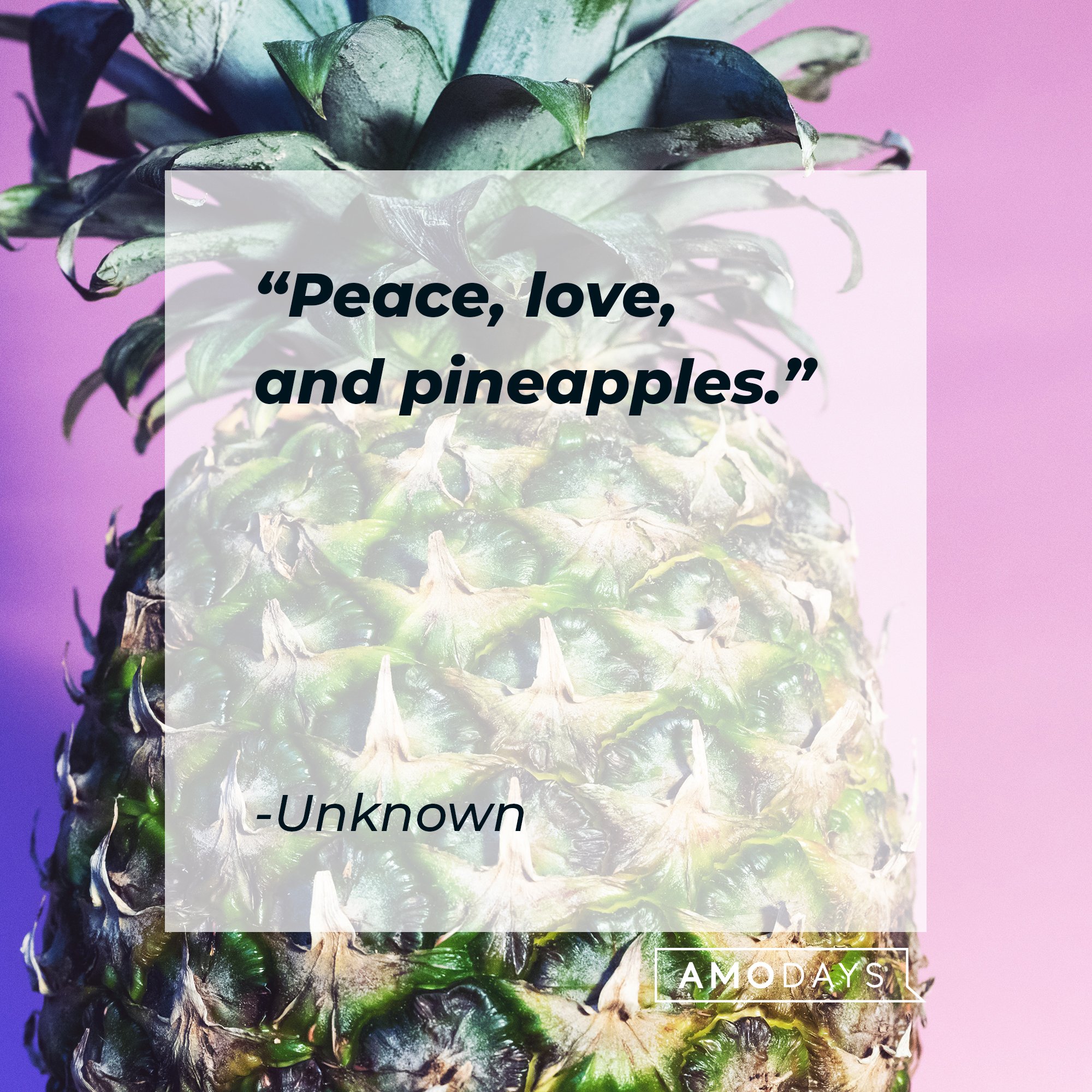 A quote from an unknown source: "Peace, love, and pineapples." | Image: AmoD