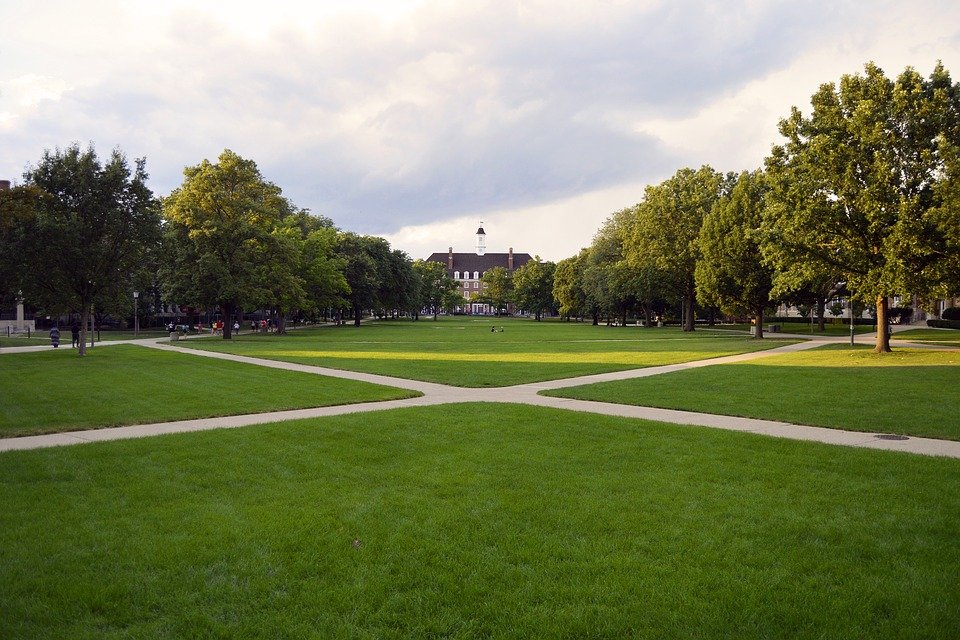 A vast university ground. | Photo: Pixabay