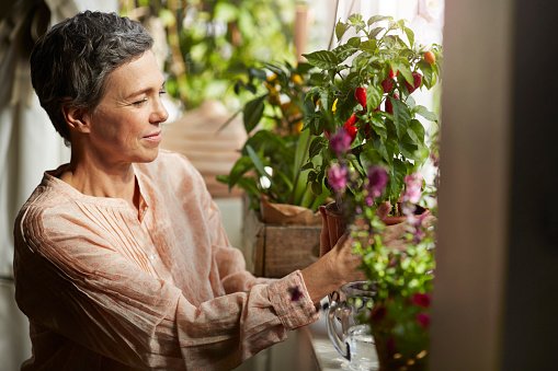 Photo of mature woman nurturing plants in living room | Photo: Getty Images