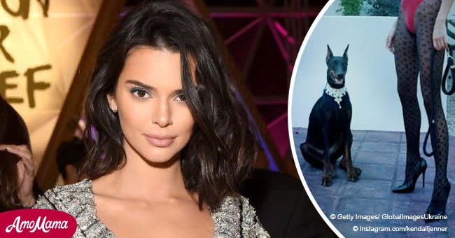 TMZ: Police called on Kendall Jenner after her dog reportedly bit a little girl