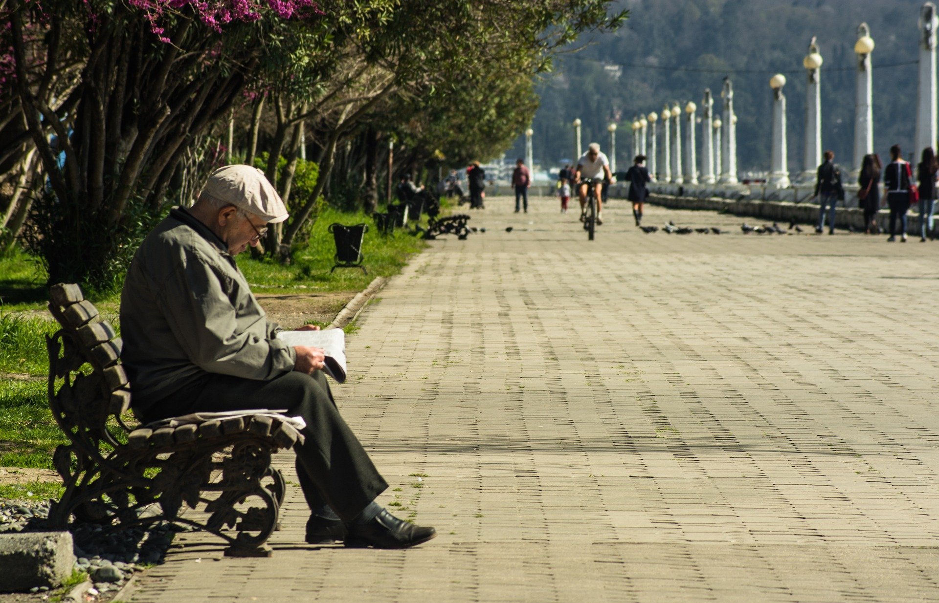 Man on park bench. | Source: Pixabay