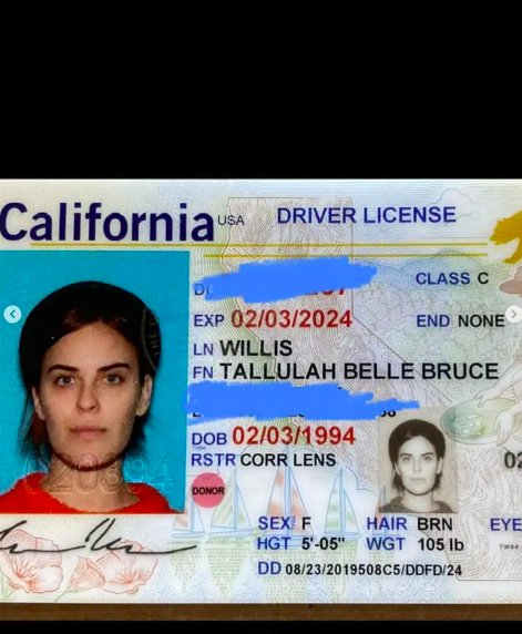 Tallulah Willis' drivers license from her pictures posted on November 15, 2023 | Source: Instagram/buuski