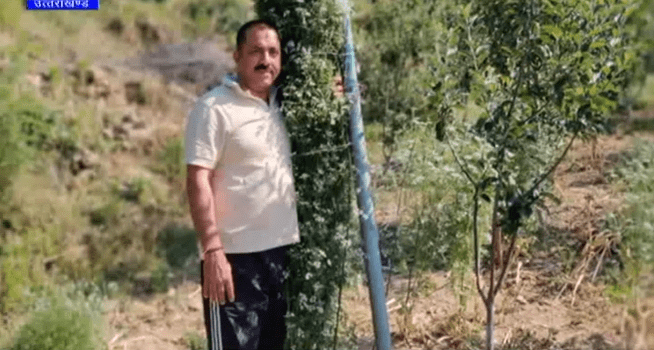 La coriandre organique de gopal upreti bat le record du monde. | Photo : Youtube