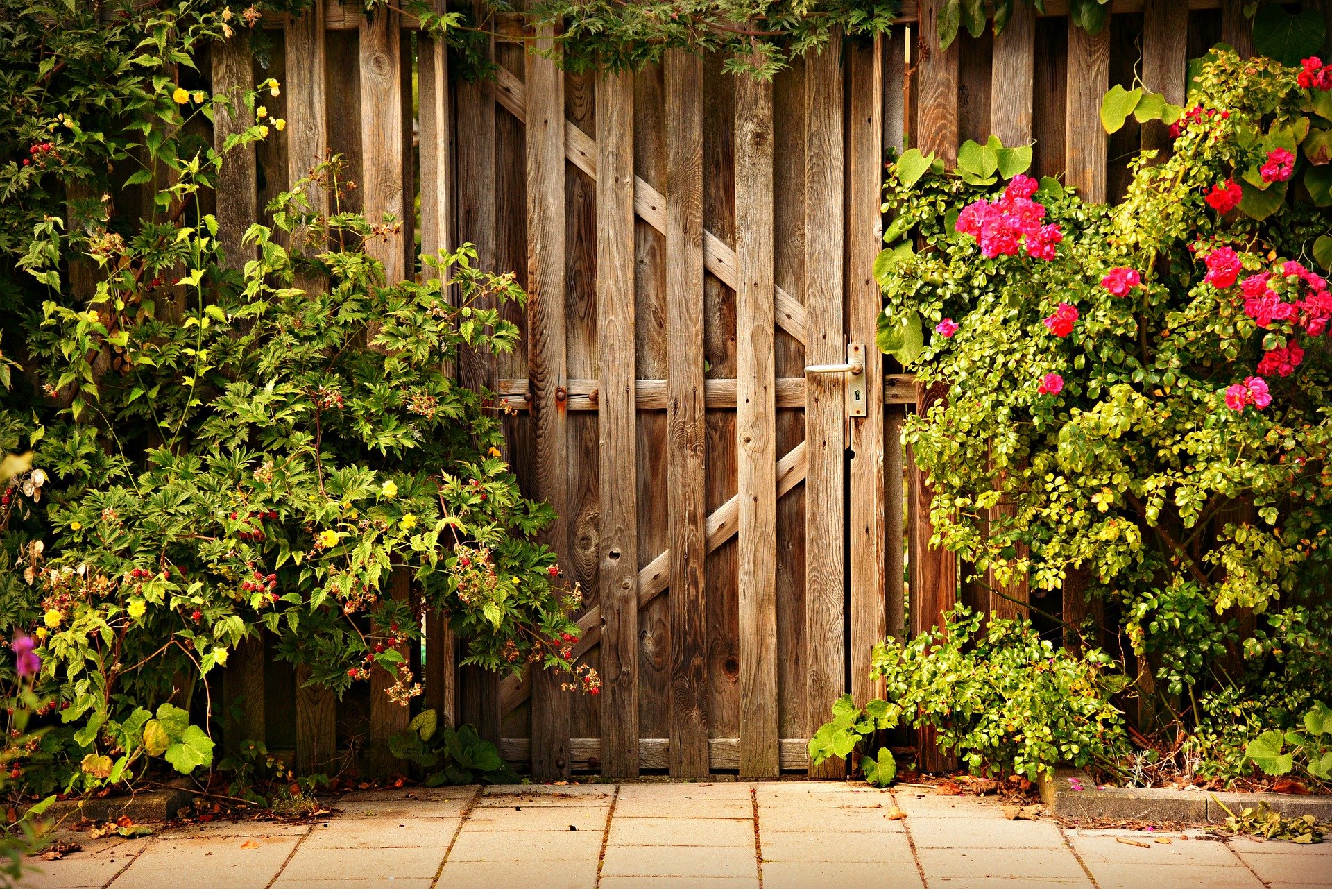 Pictured - Wooden door entry | Source: Pixabay 