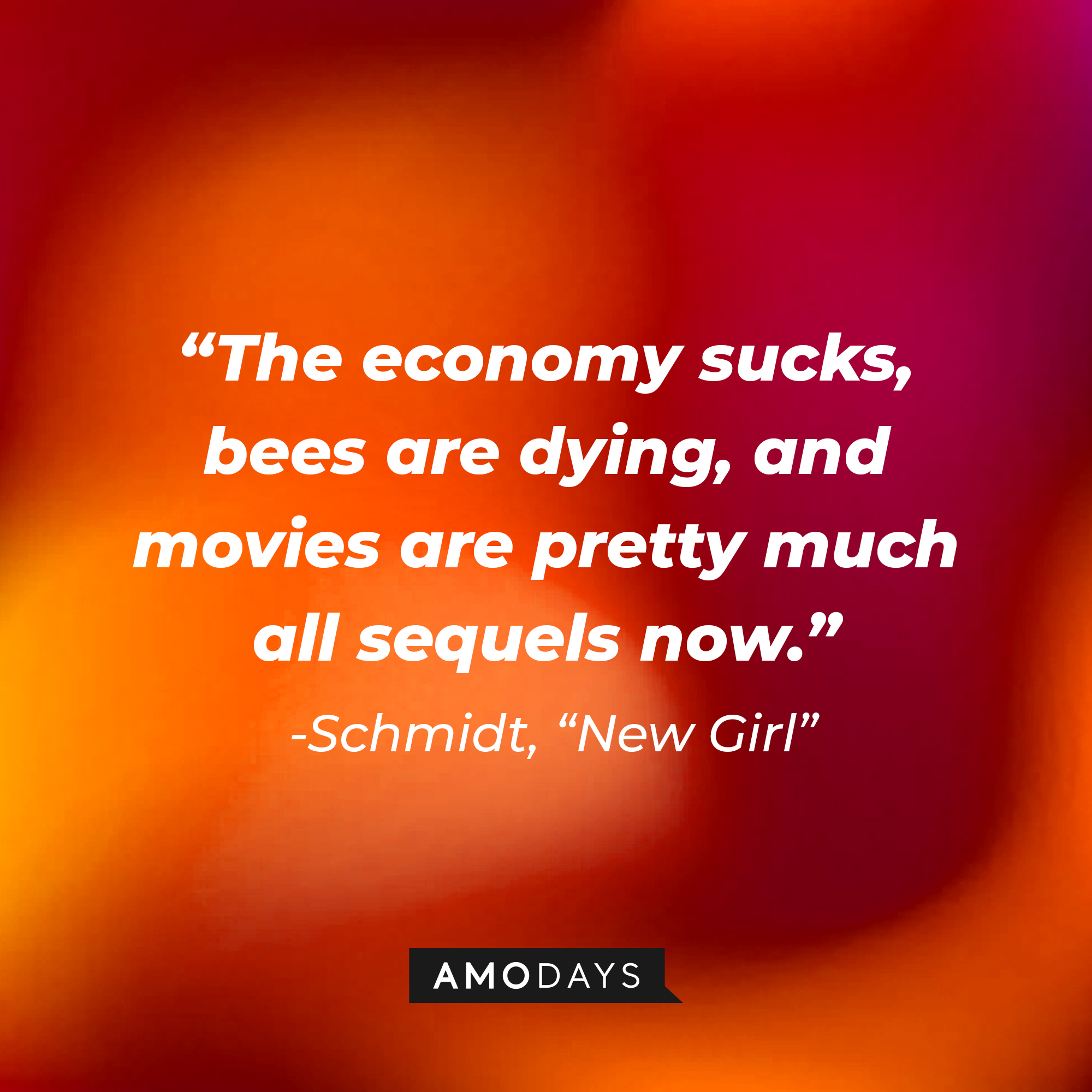 Schmidt's quote: "The economy sucks, bees are dying, and movies are pretty much all sequels now." | Source: Amodays