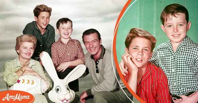 Jerry Mathers & Tony Dow’s Lives after ‘Leave It to Beaver’ & How the ...