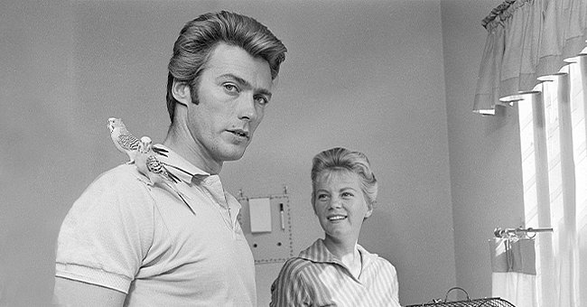 Clint Eastwood and Maggie Johnson with two pet budgerigars in their home in 1959 | Photo: CBS Photo Archive/Getty Images
