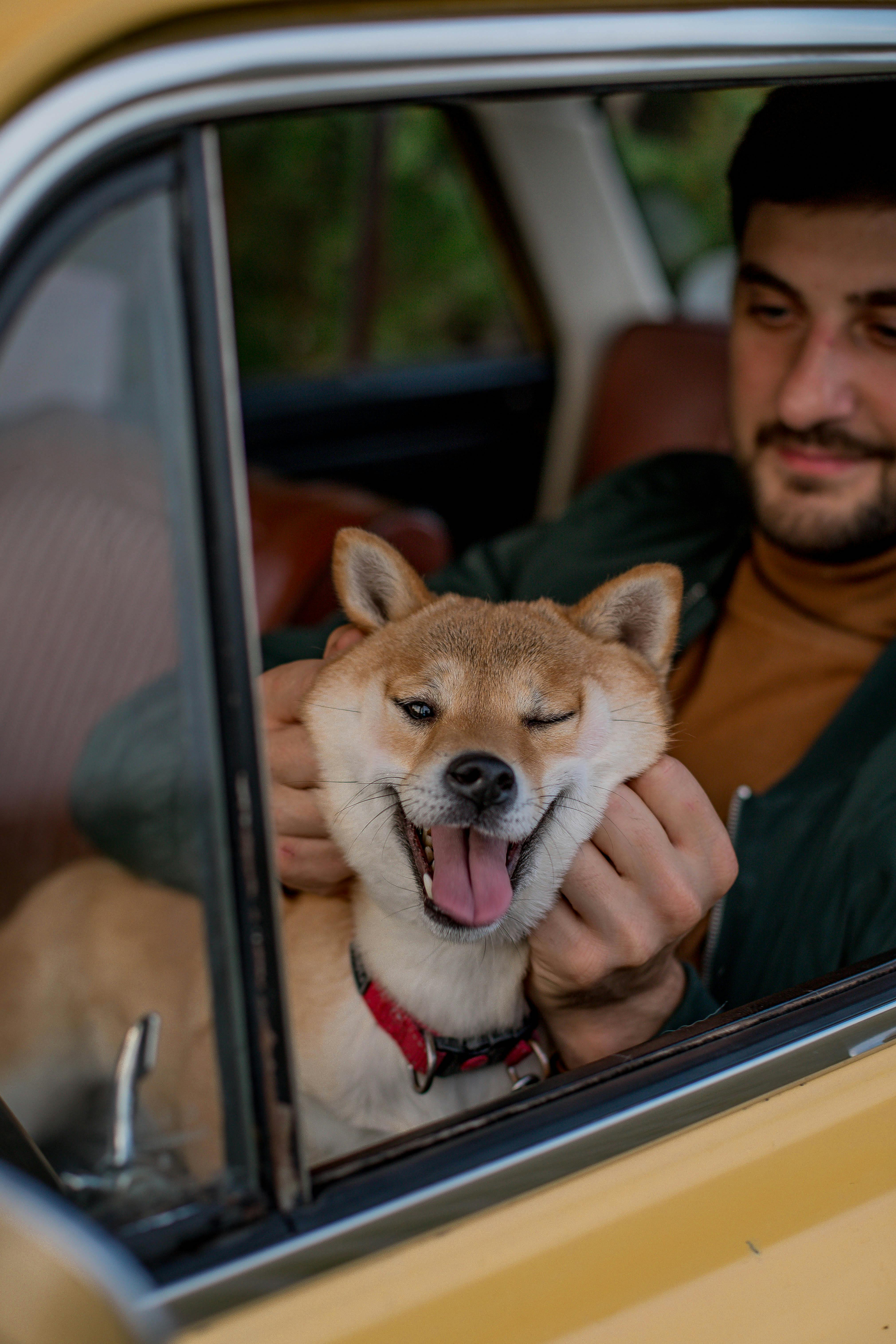 A man sitting in a car with a dog | Source: Pexels