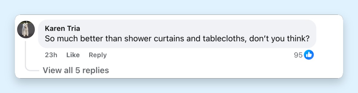 A netizen's comment about Jennifer Rauchet's dress for the White House Correspondents' Dinner on April 25, 2026 | Source: Facebook/Bored Panda