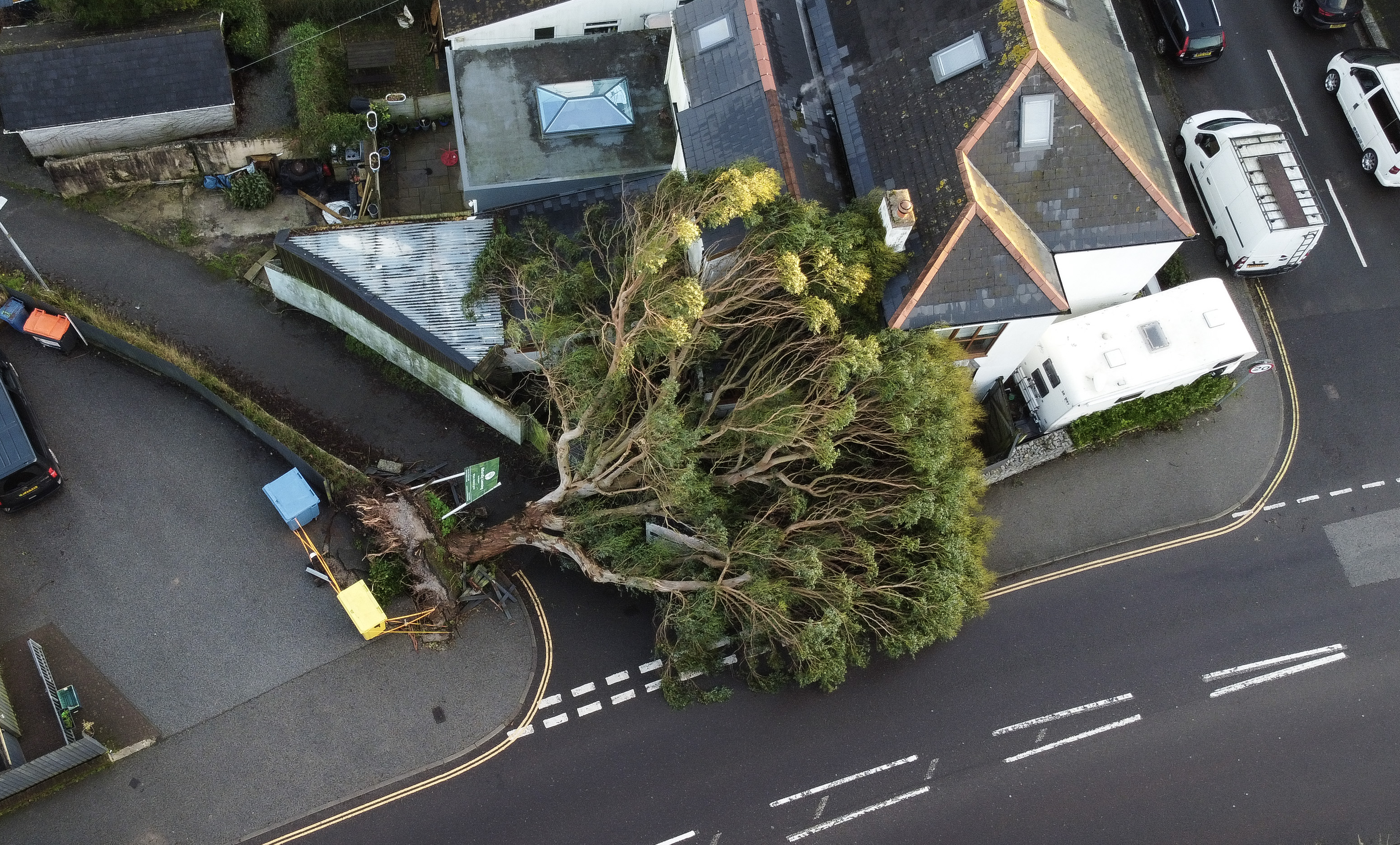 A fallen tree brought down in Storm Goretti lies across a house on 10 January 2026 in Falmouth, United Kingdom. | Source: Getty Images