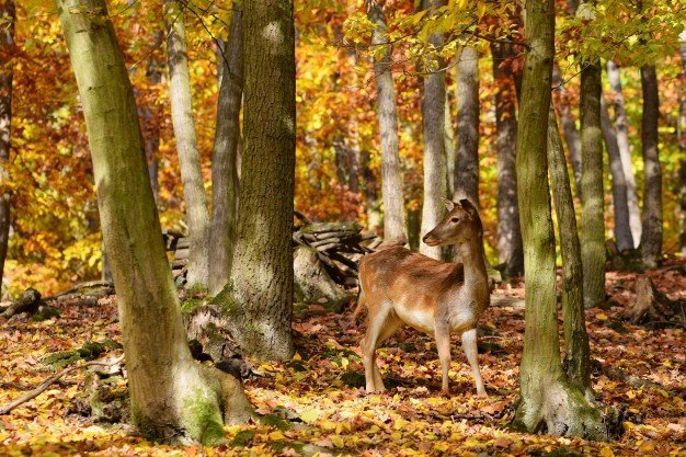 Quelle: Freepik Quelle: Freepik