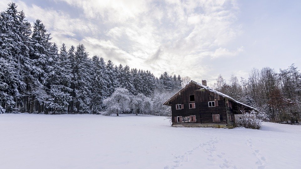 Une petite cabane | Photo : Pixabay