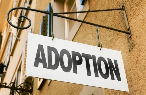 Adoption sign. | Source: Shutterstock.