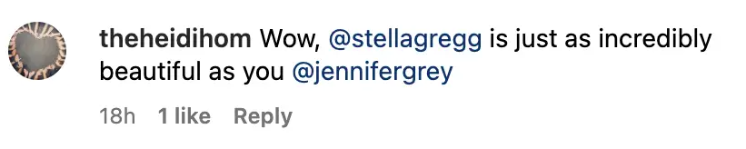 A screenshot of a comment about Stella Gregg, dated July 10, 2023. | Source: Instagram.com/@jennifergrey