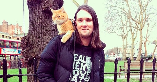 instagram.com/streetcatnamedbob