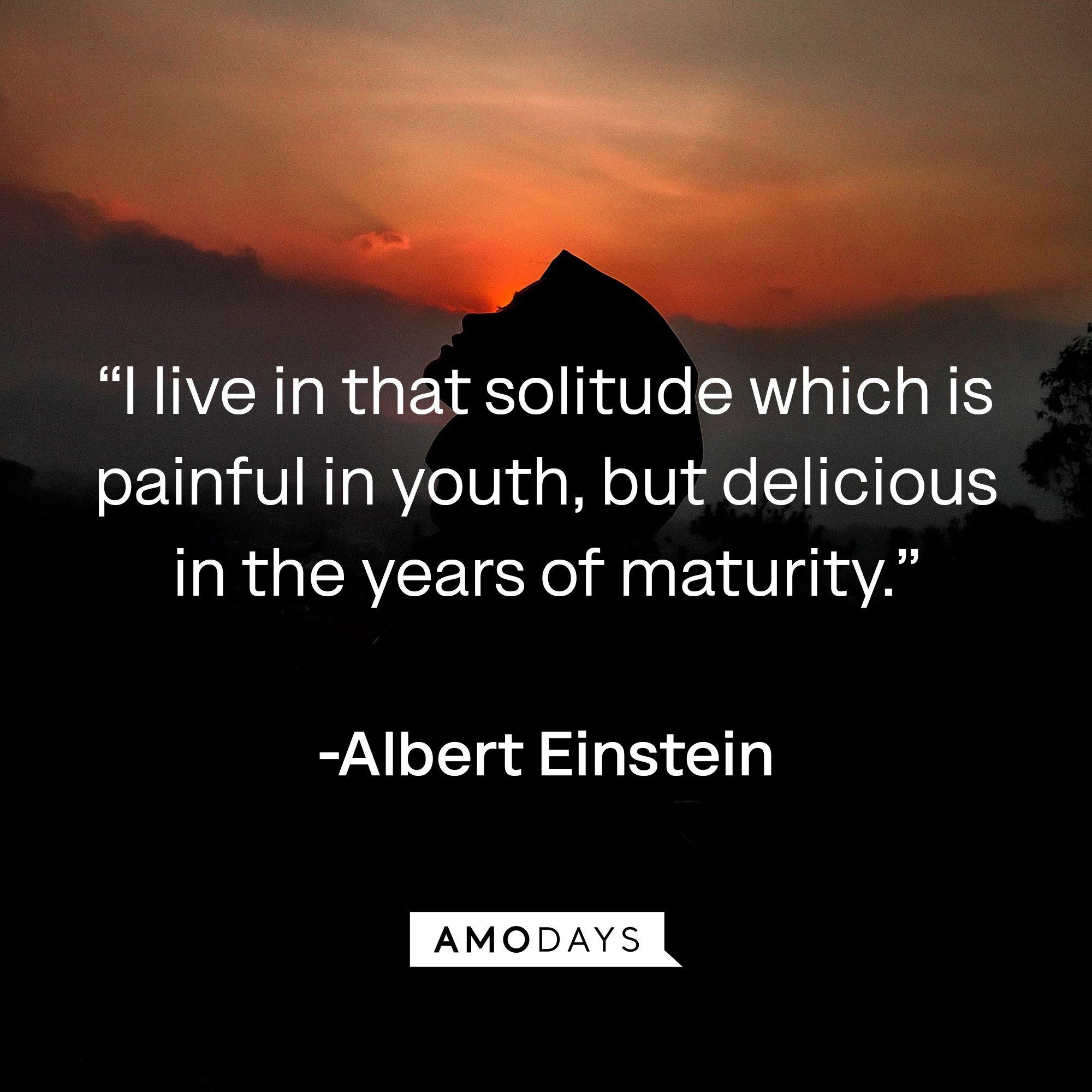 Albert Einstein’s quote:“I live in that solitude which is painful in youth, but delicious in the years of maturity.” | Image: Amodays