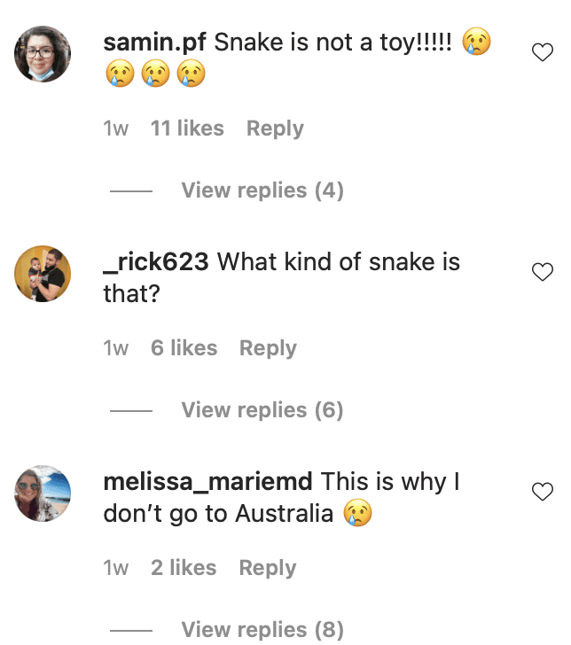 Netizens leave comments on Wright's viral video showing his toddler son handling a python. | Photo: instagram.com/mattwright