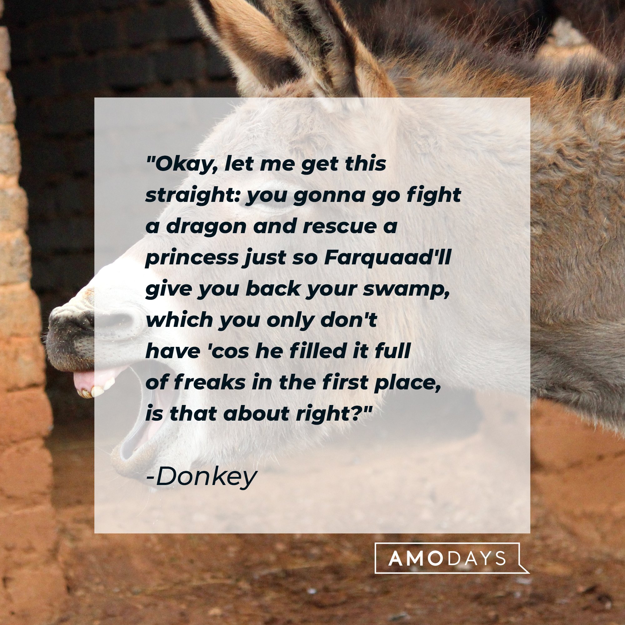 Donkey's quote: "Okay, let me get this straight: you gonna go fight a dragon and rescue a princess just so Farquaad'll give you back your swamp, which you only don't have 'cos he filled it full of freaks in the first place, is that about right?" | Image: AmoDays