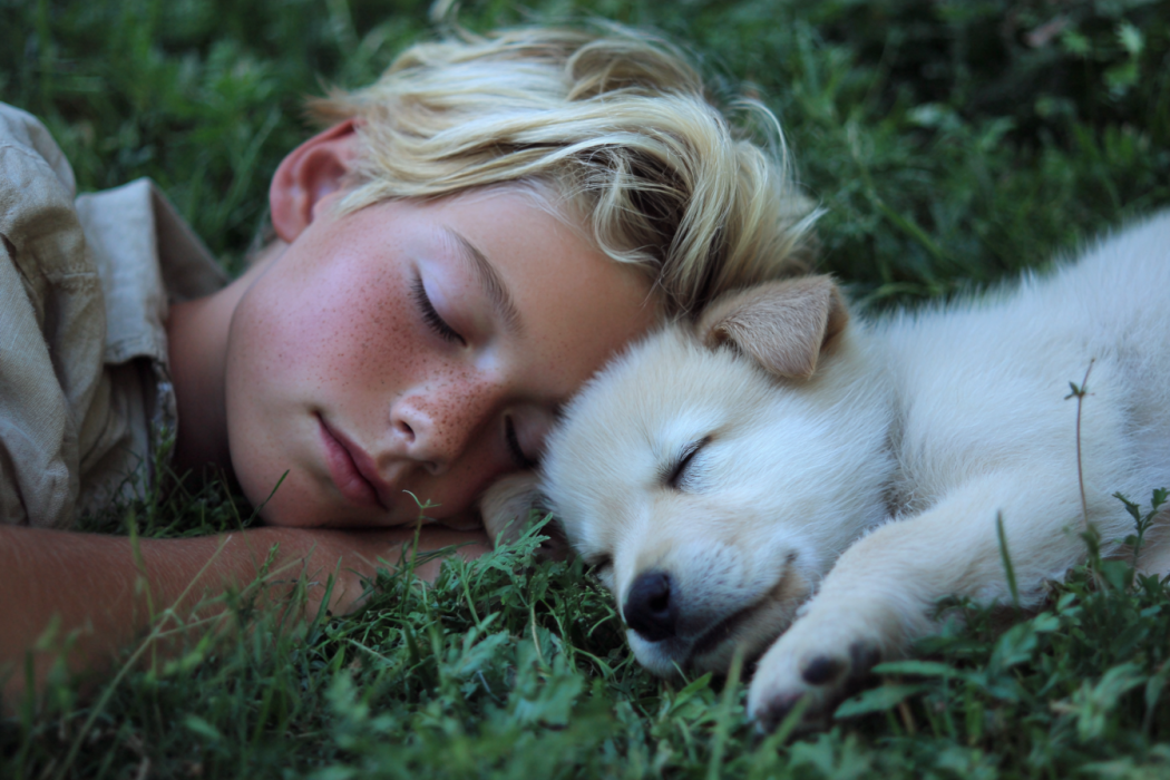 A young boy lying beside a puppy on the grass | Source: Midjourney