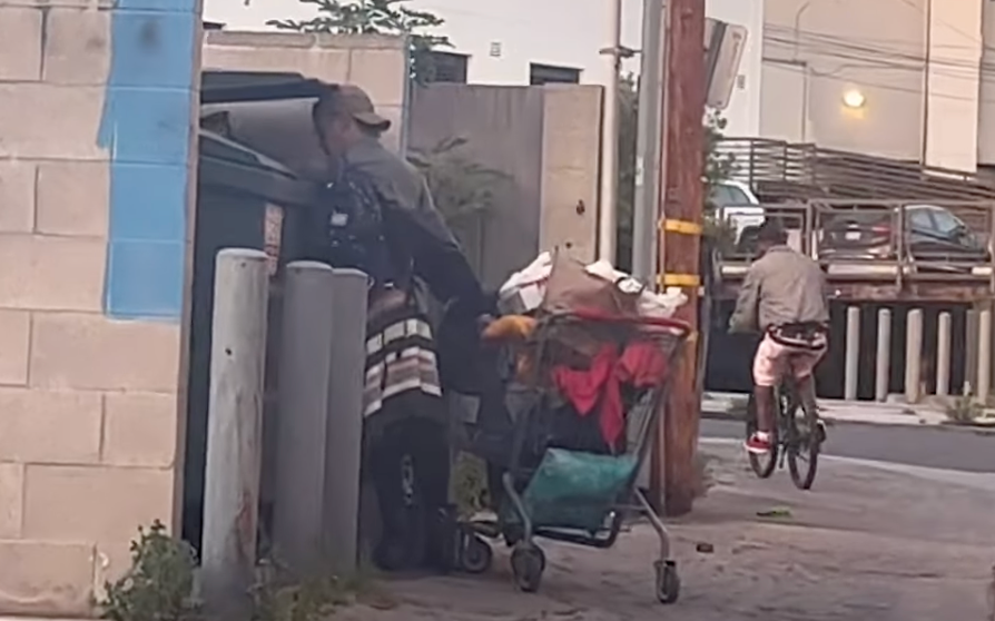 Loni Willison digs through a dumpster | Source: youtube.com/ X17onlineVideo