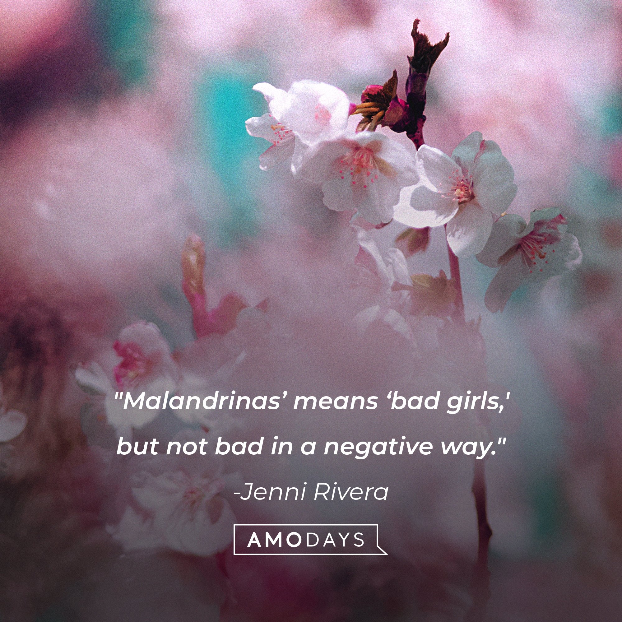 Jenni Rivera’s quote: "Malandrinas' means 'bad girls,' but not bad in a negative way." | Image: AmoDays