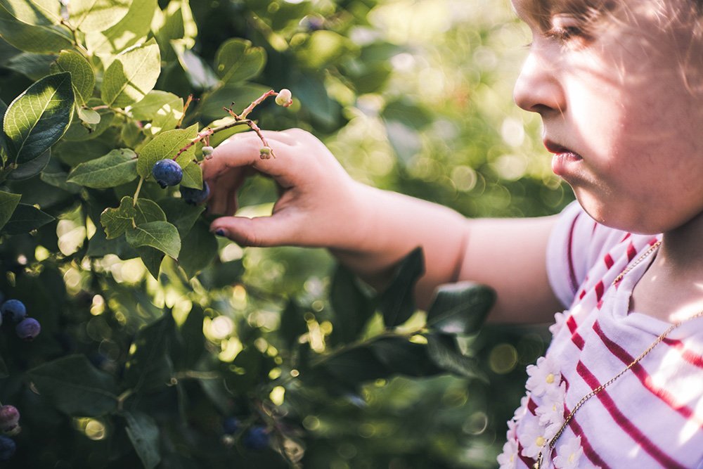 Girl picking up fruit. I Image: Pexels.