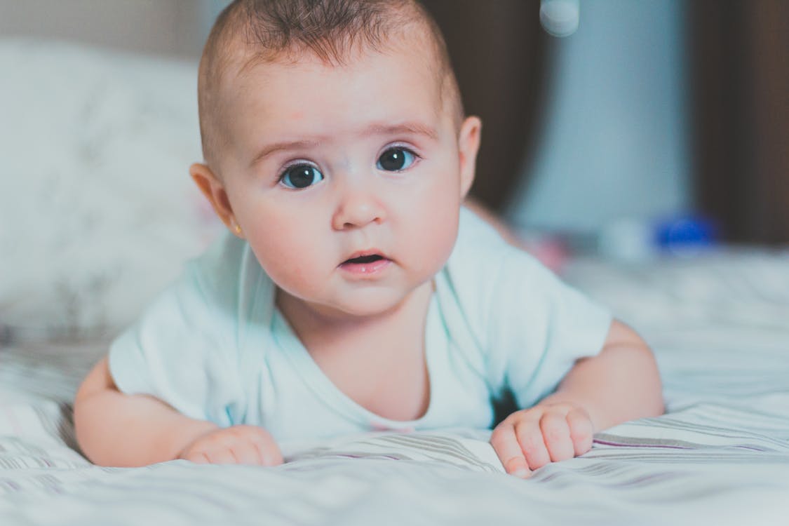 Imagen tomada de: Pexels Imagen tomada de: Pexels