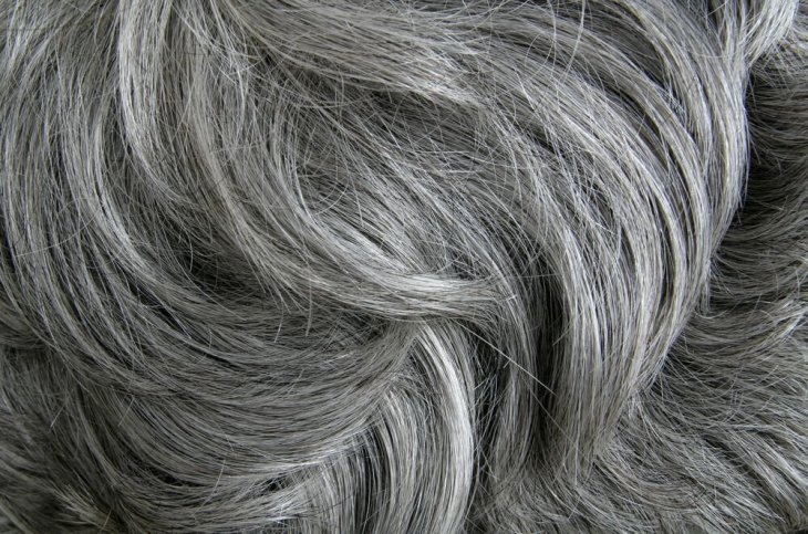 Imagen tomada de: Shutterstock