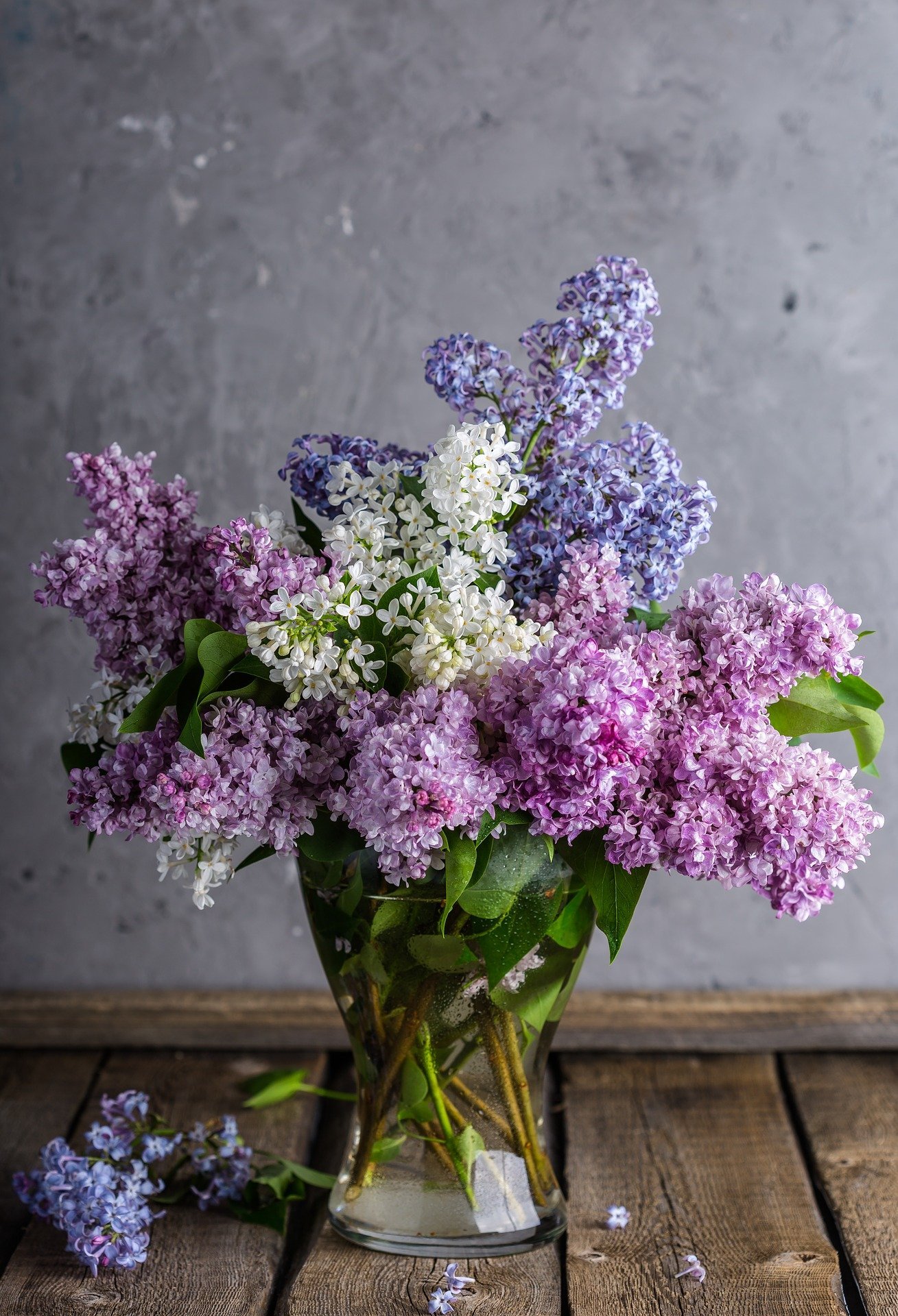 Lilac stalks in a clear vase of water with different colored blooms | Photo: Pixabay/Дарья Яковлева