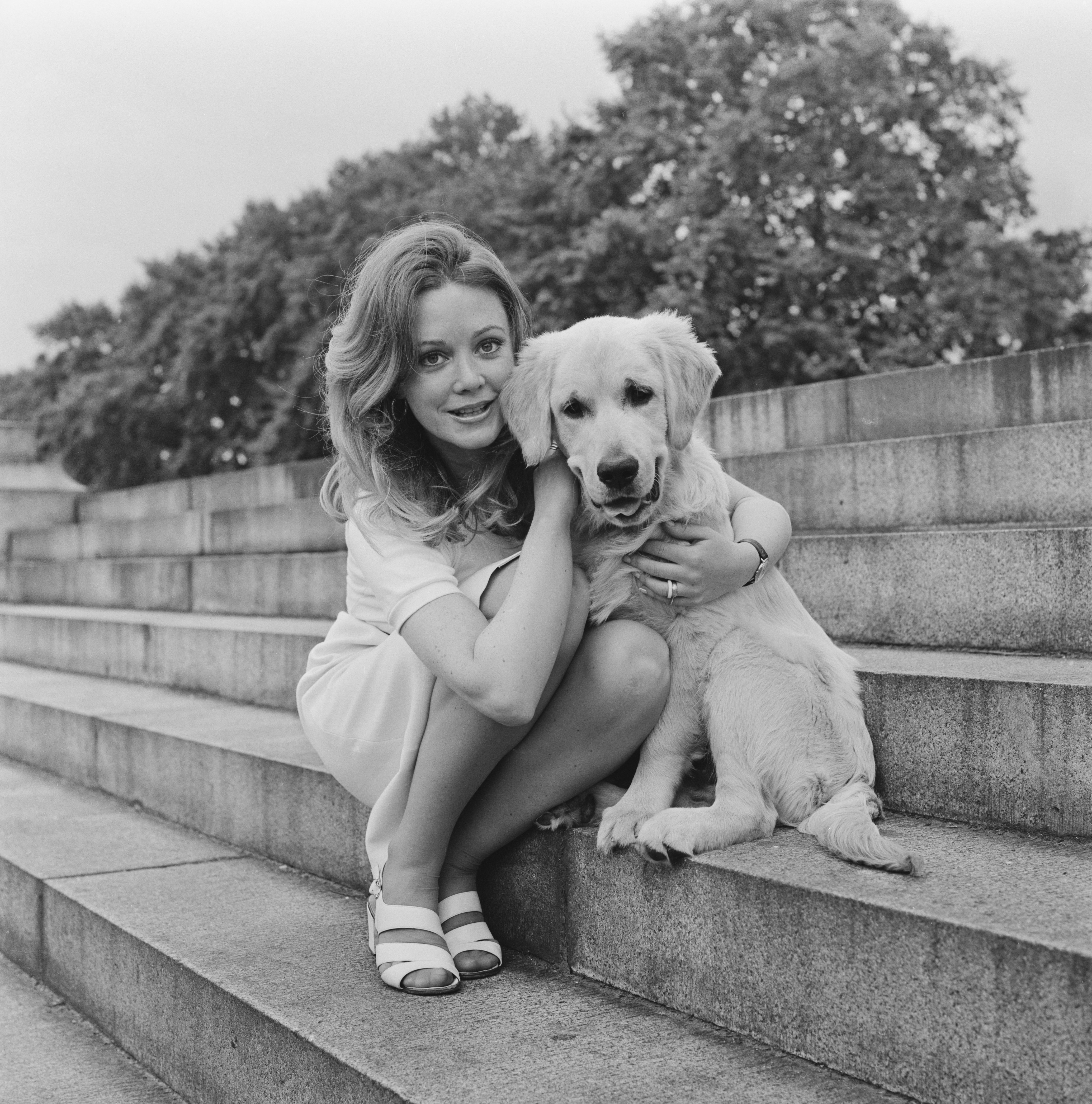 Elaine Taylor poses with a retriever dog sitting on a flight of stone steps on June 29, 1972 | Source: Getty Images
